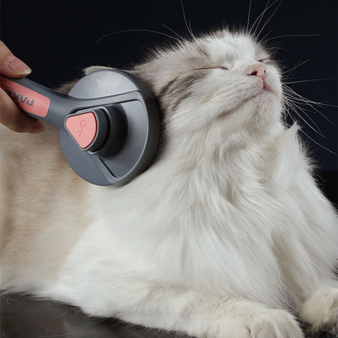 😻 😻PROMOÇÃO😻 😻  Escova Rasqueadeira SlickerPet - bazzy.com.br