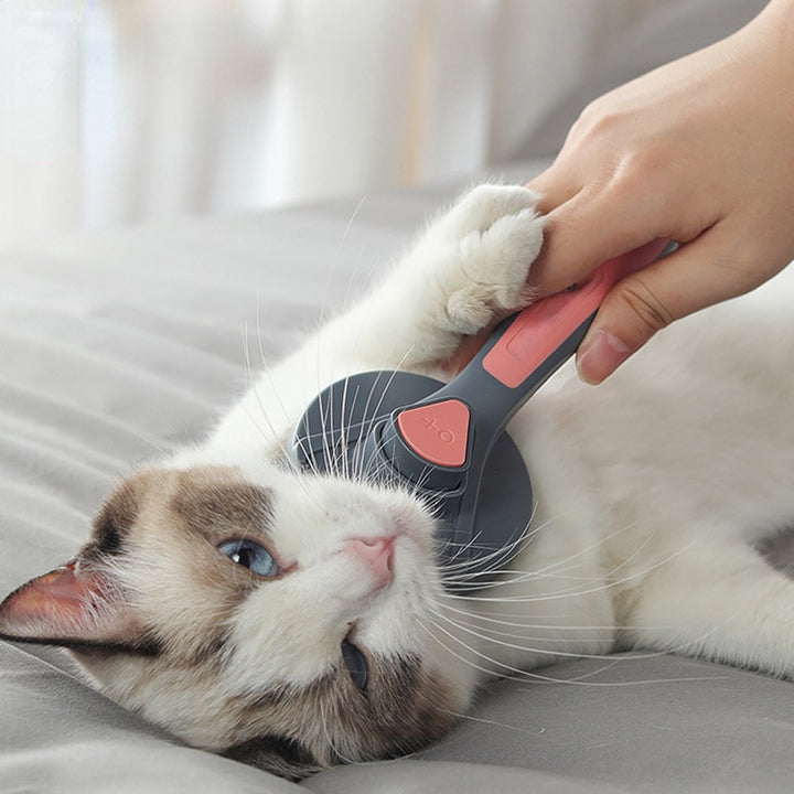 😻 😻PROMOÇÃO😻 😻  Escova Rasqueadeira SlickerPet - bazzy.com.br